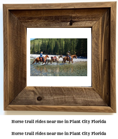 horse trail rides near me in Plant City, Florida